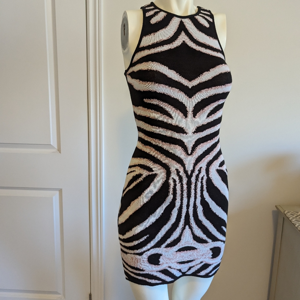 NWT Sweater Dress